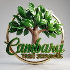 Professional Custom Logo Design Service | Brand Identity Packages - Design Delight Studio